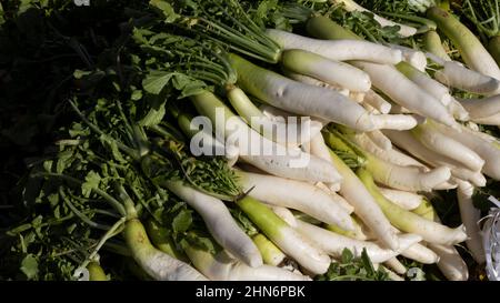 Frisches Radish mit Blättern zum Verkauf Stockfoto