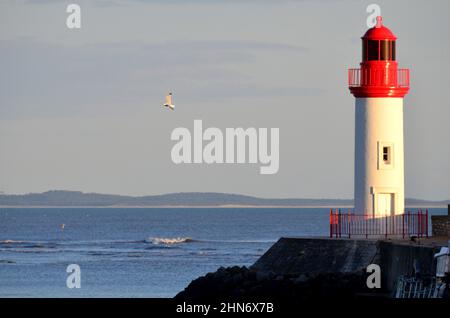 FRANKREICH. CHARENTE-MARITIME (17). INSEL OLERON. LA COTINIERE. DER LEUCHTTURM DES HAFENS. Stockfoto