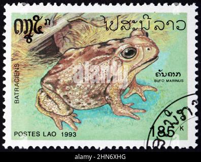 LAOS - UM 1993: Eine in Laos gedruckte Marke zeigt die Rohrkröte Bufo marinus, eine große, terrestrische echte Kröte, die um 1945 in Süd- und Mittelamerika beheimatet ist Stockfoto