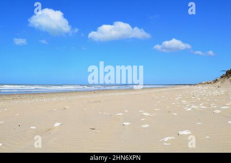 FRANKREICH. CHARENTE-MARITIME (17). INSEL OLERON. DER STRAND VON SAINT-TROJAN LES BAINS. Stockfoto