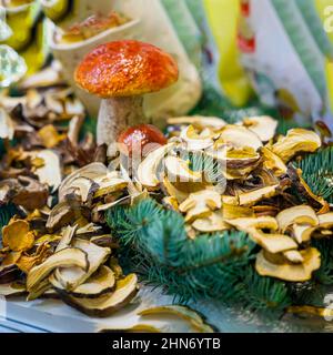 Getrocknete, gehackte Scheiben getrockneter Pilze auf Fichtenzweigen und ganzen frischen Boletus. Weicher, selektiver Fokus Stockfoto