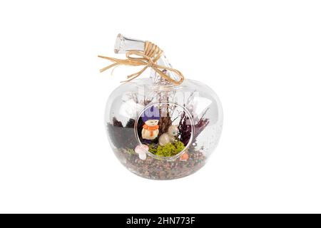 Glasterrarium. Großes Terrarium isoliert auf weißem Hintergrund. Sukkulenten Pflanzen in Glas-Florariumvasen, Kopierraum. Home Mini Garten Konzept. Stockfoto