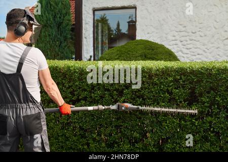 Rückansicht des kaukasischen Mannes in Overalls, Schutzhandschuhen und maskenschneidenden Büschen während des Sommertages. Kompetenter Gärtner, der sich um Hinterhofpflanzen kümmert. Stockfoto