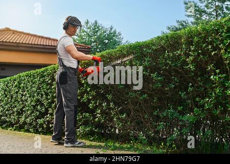 Starker Kaukasier in Uniform, Schutzhandschuhe und Maskenhecke mit Benzin-Trimmer. Männlicher Gärtner, der im Freien grün bewachsene Büsche formt. Stockfoto