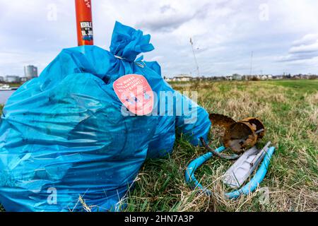 Der Rhein bei Düsseldorf, Müllsäcke in den Rheinwiesen gesammelt, warten darauf, weggenommen zu werden, freiwillige Sammelaktion, #Reinrhein, NRW, Germ Stockfoto