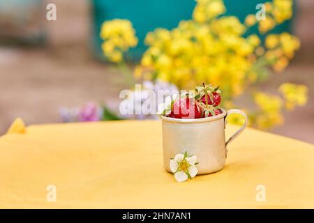 Erdbeeren in einem Reisetasse aus Metall-Aluminium. Grüner und gelber Frühlingshintergrund. Cottagecore Ästhetik Konzept, trendige Schatten Hintergrund. Speicherplatz kopieren Stockfoto