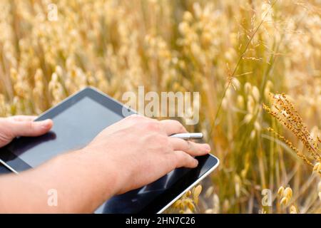 Nahaufnahme der Hände des jungen Bauern, die eine Tablette halten. Überprüfung des Erntefortschritts auf dem Goldoat-Feld. Mitarbeiter verfolgt die Wachstumsperspektiven Stockfoto