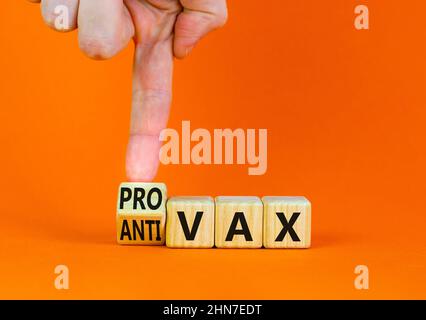 Pro-vax- oder Anti-vax-Covid-19-Symbol. Doktor dreht Würfel, ändert Wörter Anti-vax zu Pro-vax. Schöne orange Tisch orange Hintergrund. Speicherplatz kopieren. Busi Stockfoto