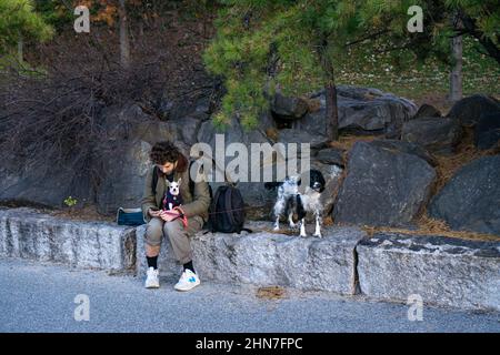 Mann sitzt und entspannt mit 2 Hunden auf Felsen in einem Park Stockfoto