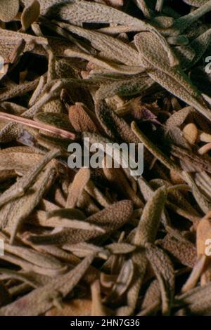 Lebensmittel Gewürze Nahaufnahme Fotografie, Aromen von kulturellen Speisen. Kochen mit Geschmack. Thymian-Gewürz. Stockfoto
