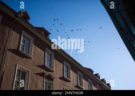 Posen, Wielkopolska, Polen. 14th. Februar 2022. Am Valentinstag in Posen. Auf dem Bild: Tauben und das Flugzeug. (Bild: © Dawid Tatarkiewicz/ZUMA Press Wire) Stockfoto