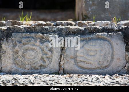 Stein Geschnitzte Hieroglyphen Treppe, Fünf-Geschichten-Tempel, Edzna Archäologische Zone, Campeche Staat, Mexiko Stockfoto