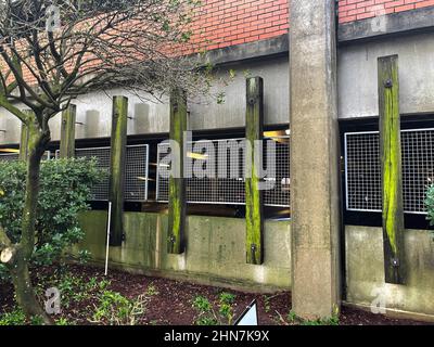 Augusta, GA USA - 12 13 21: Parkdeck an der Seitenwand, grüner Schimmel Stockfoto