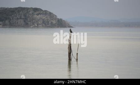 Stimmungsvolle Atmosphäre über dem Trasimeno See. Zwei Kormorane stehen auf einem Anlegeplatz Stockfoto