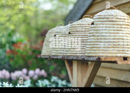 Bienenstöcke in einem Garten mit Blumen im Hintergrund. Frühjahrskonzept Stockfoto