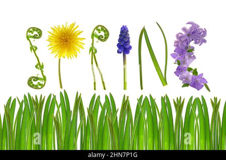 Hallo spring.Floral Buchstaben und grünes Gras isoliert auf weißem Hintergrund. Federbanner. Florales Alphabet. Frühling. Frühjahrssaison Stockfoto