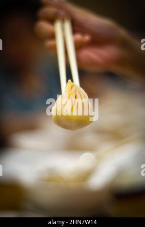 Essstäbchen mit chinesischen Suppenknödeln namens Xiao Long Bao mit defokussem Hintergrund und konzentrieren sich auf den Knödel. Stockfoto