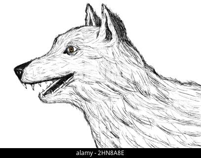 Cartoon-Porträt oder Wolf, Hund in schwarzer Farbe auf weißem Hintergrund. Digitales Malen Stockfoto