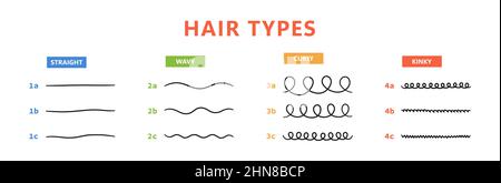 Klassifizierung der Haartypen - gerade, wellig, lockig, verworrend. Schema der verschiedenen Arten von Haaren. Lockiges Mädchen Methode. Vektorgrafik auf Weiß Stock Vektor