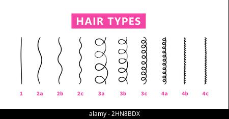 Klassifizierung der Haartypen - gerade, wellig, lockig, verworrend. Schema der verschiedenen Arten von Haaren. Lockiges Mädchen Methode. Vektorgrafik auf Weiß Stock Vektor