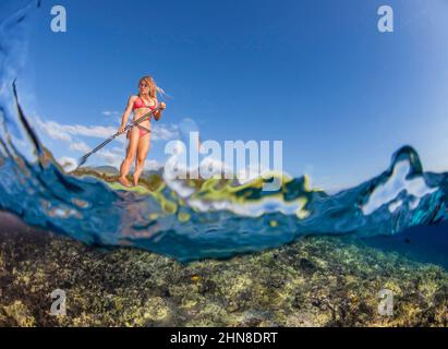 Surflehrerin Tara Angioletti auf einem Stand-up-Paddle-Board über einem Riff vor Maui, Hawaii. Dieses Foto ist ein Model-Release. Stockfoto