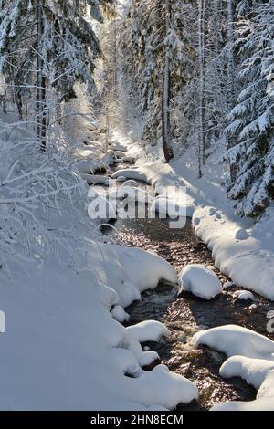 Kleiner Bach im Stadtpark, Imatra Finnland Stockfoto
