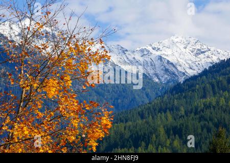 Berge und bunter Baum im Nationalpark hohe Tauern in Tirol, Österreich Stockfoto