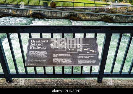 Ein Schild beschreibt den Fischweg von Bradford Island am Bonneville Lock and Dam in Washington, USA Stockfoto