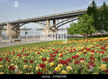 Blumen auf dem Damm in Nowosibirsk. Farbenfrohe Blumenbeete blühen im Frühling, eine gewölbte Straßenbrücke über den ob. Sibirien, Russland Stockfoto