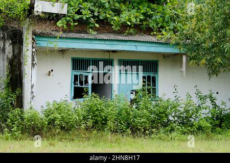 Lampung, Indonesien, Februar 12 2022- auf einem alten Gebäude, das seit langem nicht mehr bewohnt ist, entkokkt. Hintergrundabstrakt Stockfoto