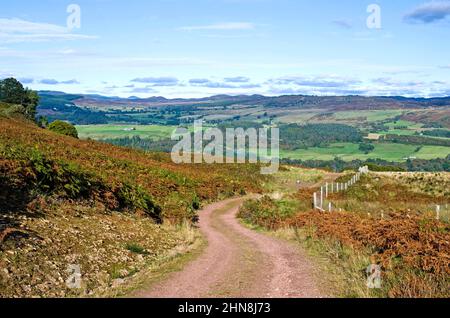 Kurvenreicher Moorpfad auf einem Hügel über dem Tay Valley, mit Blick auf die Hügel über dem Tal, Herbst, Tayside, Perthshire Schottland Großbritannien Stockfoto