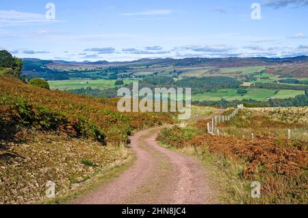 Kurvenreicher Moorpfad auf einem Hügel über dem Tay Valley, mit Blick auf die Hügel über dem Tal, Herbst, Tayside, Perthshire Schottland Großbritannien Stockfoto