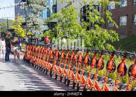 Canberra, gemeinsamer orangefarbener E-Roller von Neurone Mobility auf dem Campus der ANU für Studenten, ACT, Australien Stockfoto