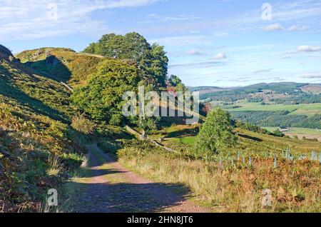 Moorpfad auf einem Hügel über dem Tay Valley, mit Blick auf die Hügel über dem Tal, Herbst, Tayside, Perthshire Schottland Großbritannien Stockfoto