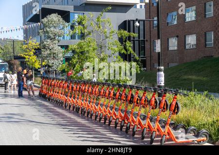 Canberra, gemeinsamer orangefarbener E-Roller von Neurone Mobility auf dem Campus der ANU für Studenten, ACT, Australien Stockfoto