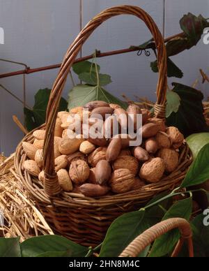 ZUCKERROHRKORB MIT GEERNTETEN GEMISCHTEN NÜSSEN (WALNÜSSE, PEKANNÜSSE UND MANDELN. Stockfoto