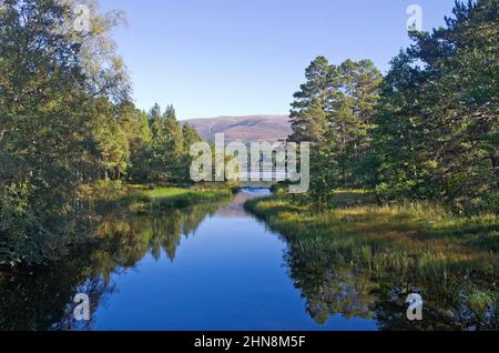 Blick auf Loch Morlich und das Cairngorm-Hochplateau dahinter, vom Fluss Luineag aus, spiegeln sich Bäume im ruhigen Wasser, Cairngorms und die schottischen Highlands Stockfoto