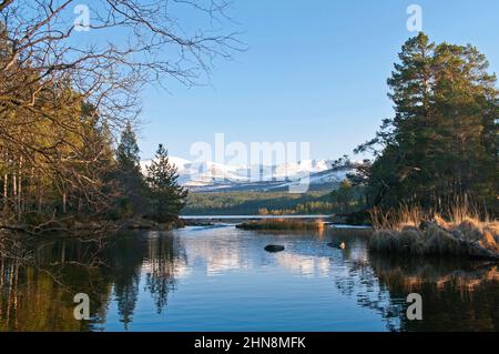 Blick über Loch Morlich auf das Cairngorm Plateau und die Northern Corries im Winter, Cairngorms National Park, Scottish Highlands, Schottland Großbritannien Stockfoto