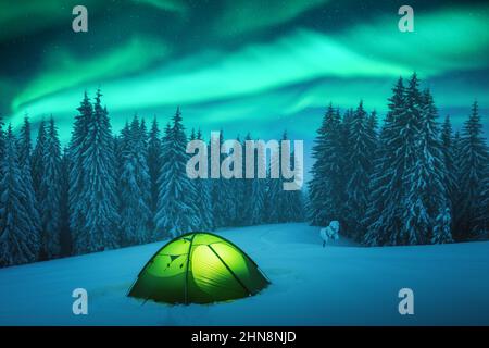 Gelbes Zelt von innen beleuchtet vor dem Hintergrund eines unglaublichen Sternenhimmels mit Aurora Borealis. Tolle Nachtlandschaft. Nordlichter im Winterfeld Stockfoto