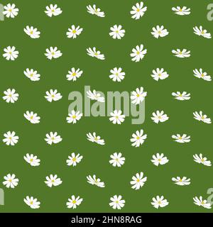 Nahtloses Muster mit Kosmos Blume Vektor Illustration isoliert auf grünem Hintergrund. Umriss handgezeichnete farbige Version. Blumenvektor für Kinder Stock Vektor