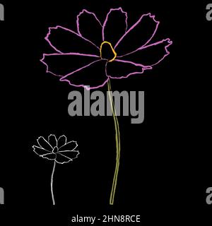 Set von Kreide Stil Kosmos Blume Zweig Vektor Illustration isoliert auf schwarzem Hintergrund. Umriss handgezeichnete farbige Version. Blumenvektor für Kinder Stock Vektor