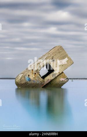 Joli papillon bleu sur le blockhaus du Hourdel Stockfoto