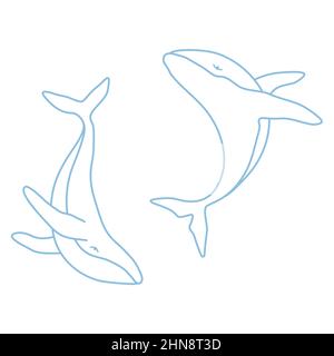 Buckelwale minimalistisch einfache Kontur Vektor-Logo-Illustration. Isolierte Kontur Walzeichnung auf weißem Hintergrund Stock Vektor