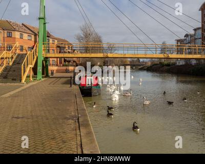 Gesamtansicht des Flusses Nene bei Southbridge, Northampton, Großbritannien; Wigg-Brücke, Schmalboot und Schwäne Stockfoto