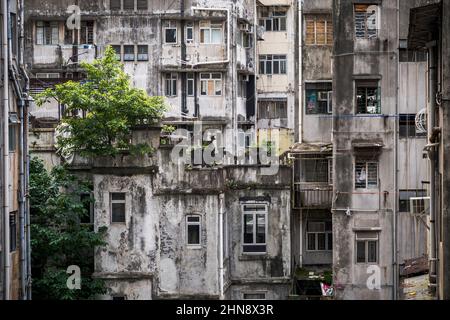 Eine alte Mietskaserne (die jetzt aufgrund von Umbauarbeiten abgerissen wurde) in Central, Hong Kong Island, im Jahr 2008 Stockfoto