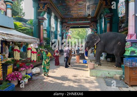 PONDICHERRY, Indien - 15th. Februar 2022: Manakula Vinayagar Tempel. Stockfoto