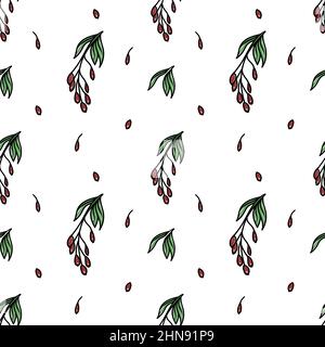 Nahtloses Berbermuster, gezeichnetes Element im Doodle-Stil. Kulinarisch, Küche. Kräuter und Gewürze - Berberbeerzweig, Blätter und Beeren. Muster in einem Stock Vektor