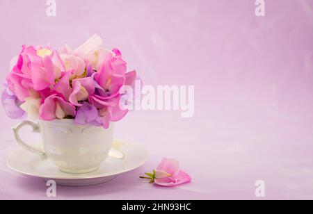 Foto von schönen süßen Erbsen Blumen Stockfoto