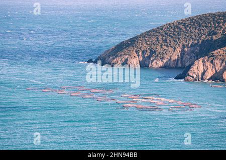 Eine Fischfarm im Meer in der Nähe eines hohen Berges. Das Konzept der Lachs- und Seabasindustrie in Netzen und Käfigen Stockfoto