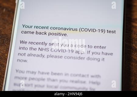 Covid 19 E-Mail-Benachrichtigung auf dem Smartphone-Bildschirm in england Stockfoto